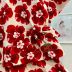 Conjunto Infantil Animê Blusa Ciganinha Off White Vermelho Laços Floral Joaninha Short Floral Vermel