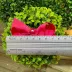 Presilha Euro Baby Kids Pink Laço Flores Brilho Pérolas 