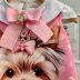 Vestido Infantil Yoyo Pink Gola Off White Laço Rosa Cachorrinha Laço Strass Pingente